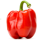 Bell Pepper Rojo