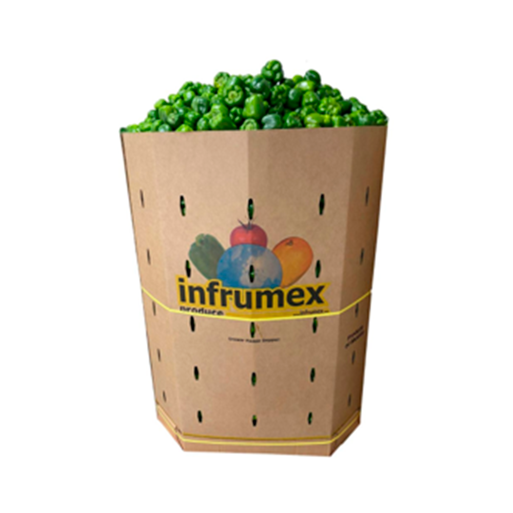Chile Bell Pepper Verde en contenedor