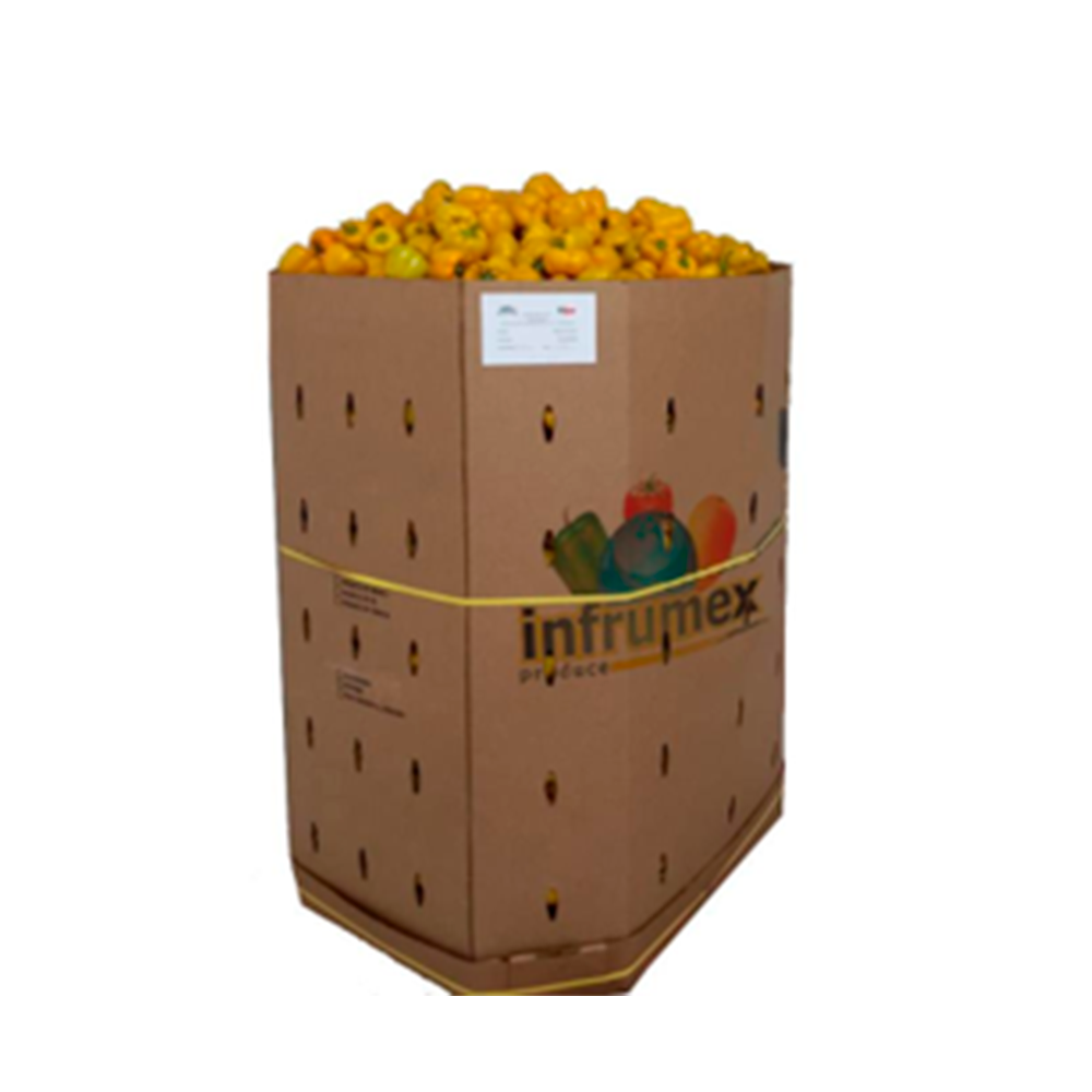 Chile Bell Pepper Amarillo en contenedor