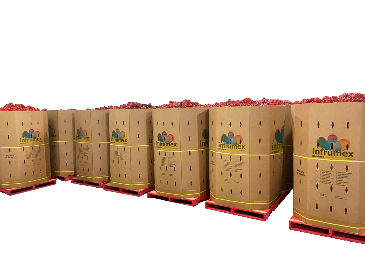 Contenedores de producto Infrumex listos para distribución