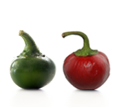 Cherry Pepper