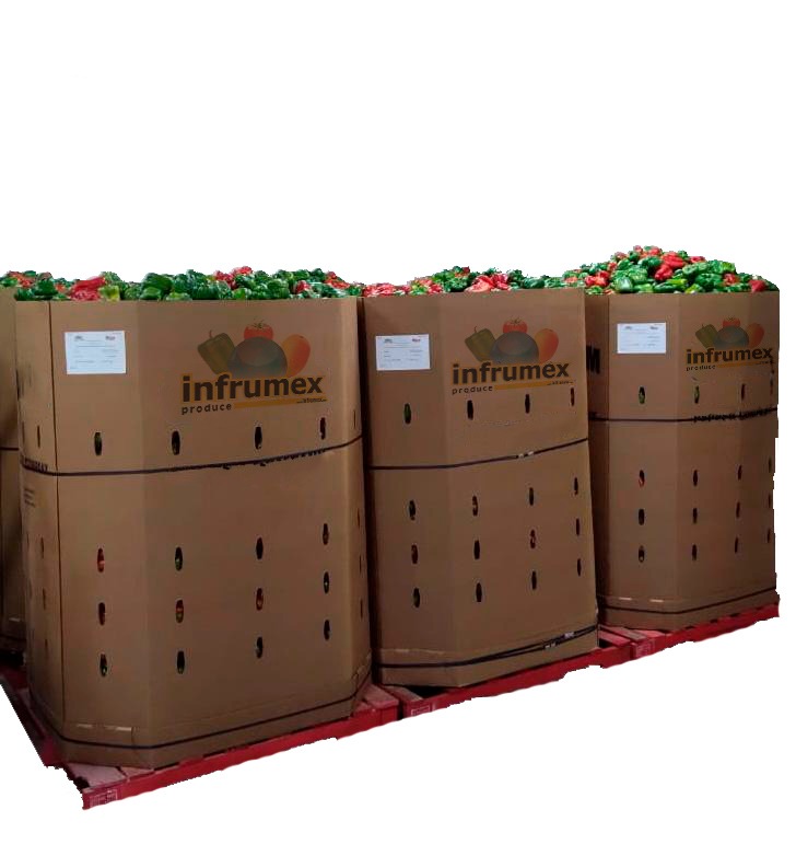 Chile Bell Pepper Mixto en contenedor